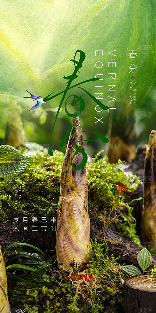 传统二十四节气春分海报