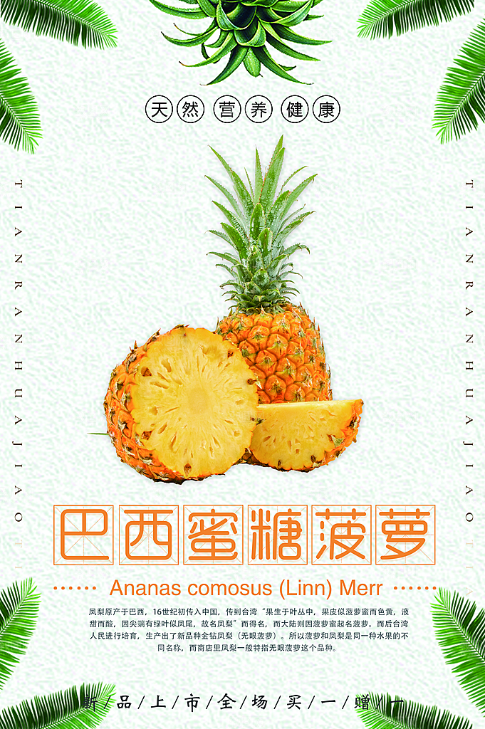 菠萝宣传海报设计素材