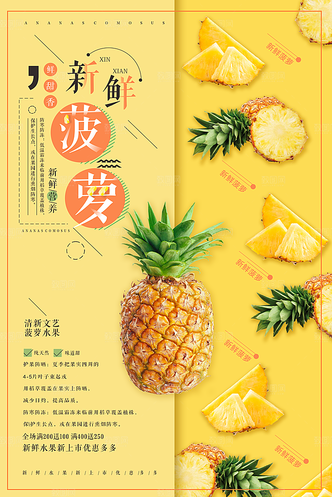 菠萝宣传海报设计素材