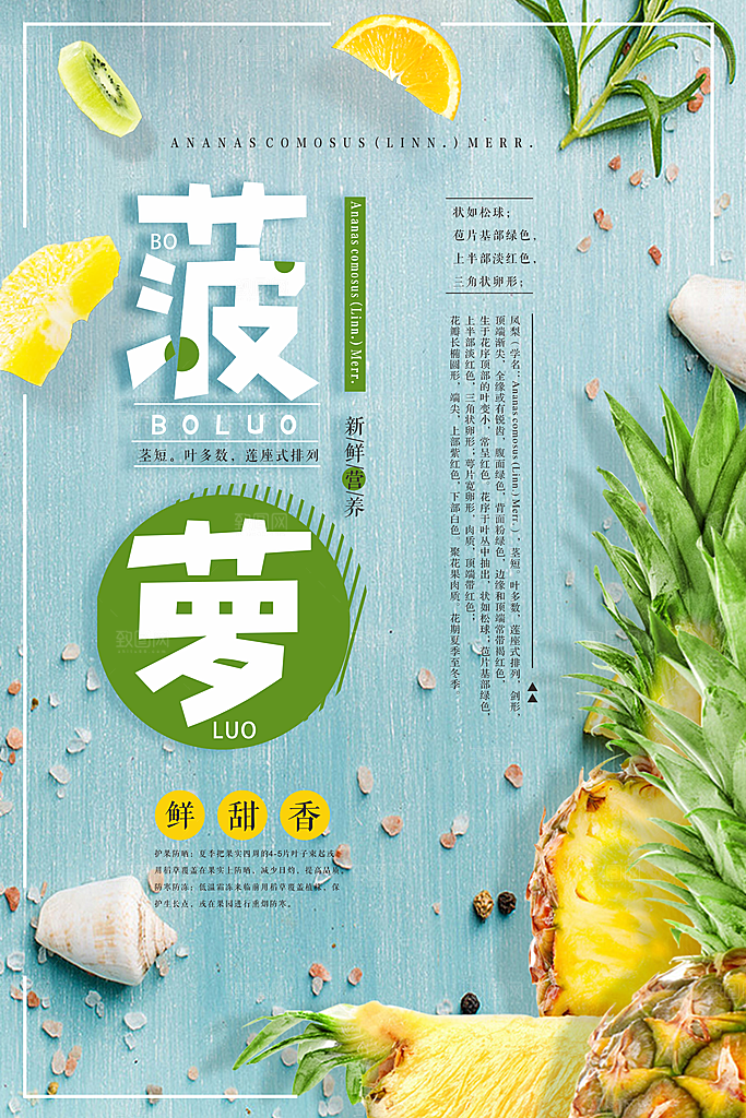 菠萝宣传海报设计