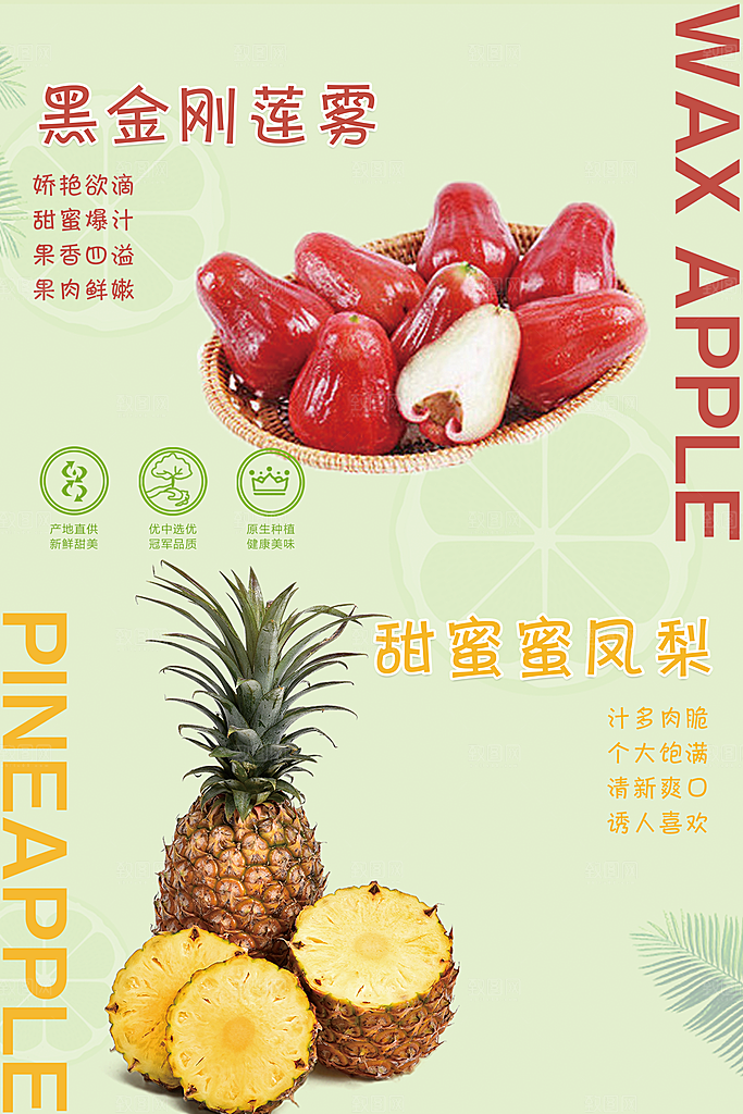 菠萝宣传海报设计