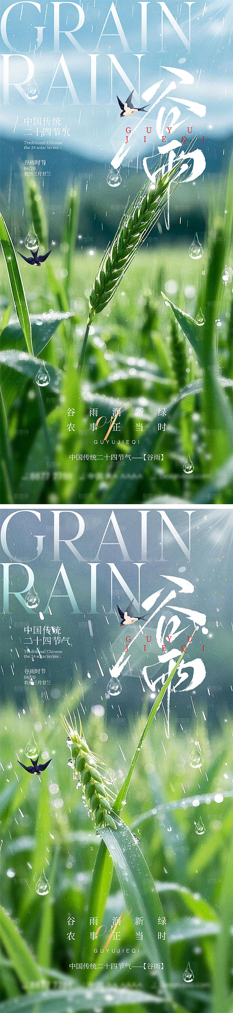 谷雨节气宣传海报