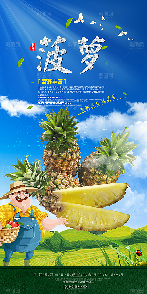 菠萝宣传海报设计素材