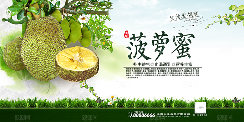 菠萝蜜宣传海报展板设计素材