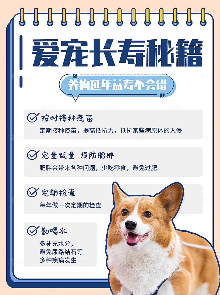 养狗宠物小窍门注意事项