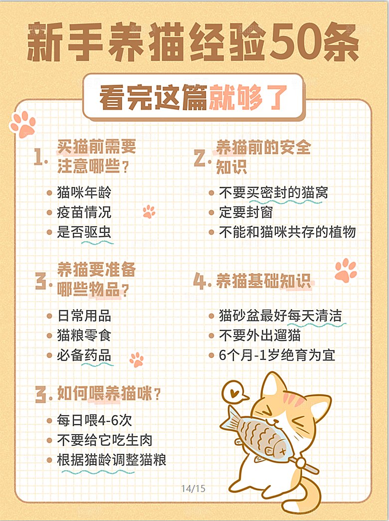 新手养猫经验小窍门注意事项