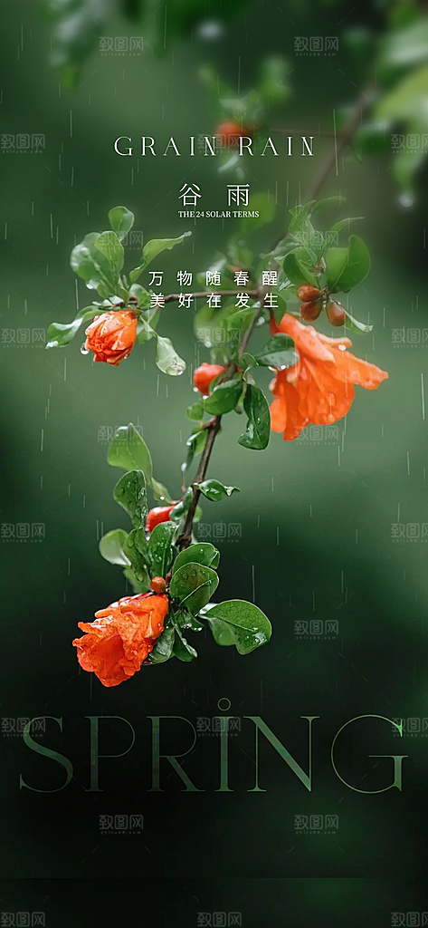 谷雨唯美节日大气插画简约节气宣传海报