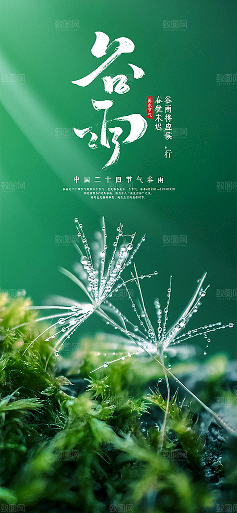 谷雨唯美插画大气简约节气节日宣传海报