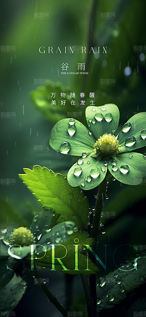 谷雨简约插画节日大气唯美节气宣传海报