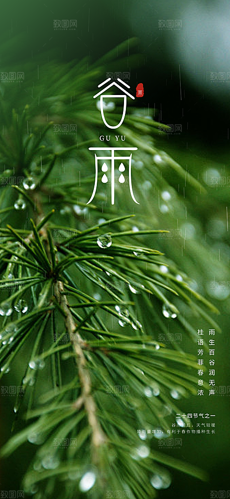 谷雨简约插画节日大气唯美节气宣传海报