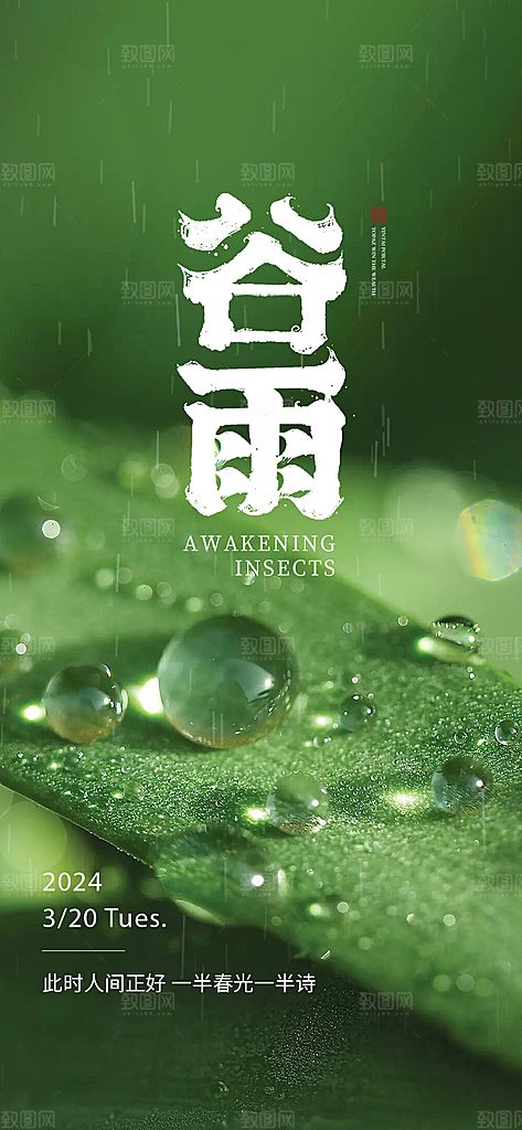 谷雨简约插画节日大气唯美节气宣传海报