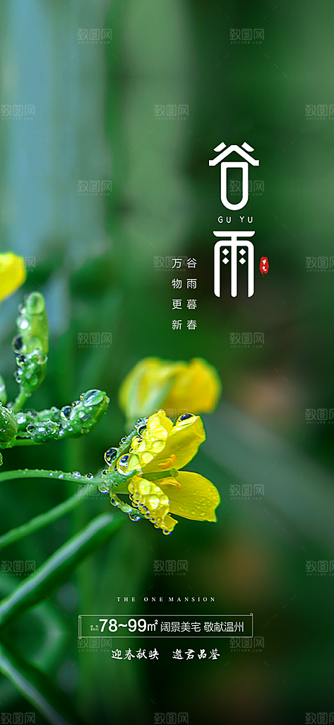 谷雨简约插画节日大气唯美节气宣传海报