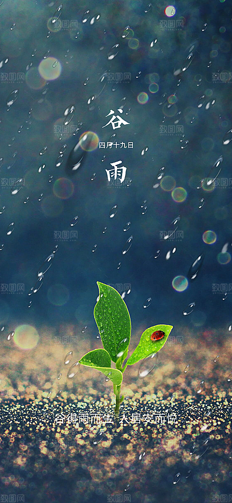 谷雨简约节气大气唯美节日插画宣传海报