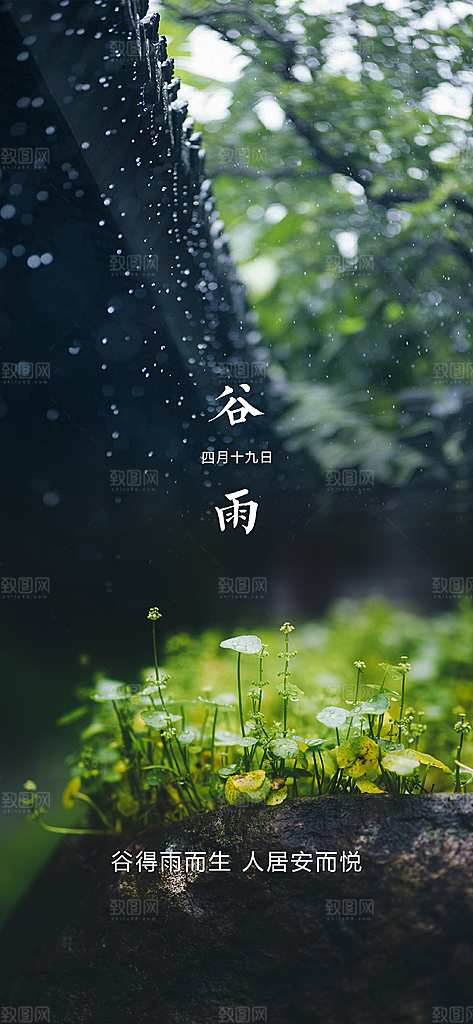 谷雨简约节气大气唯美节日插画宣传海报