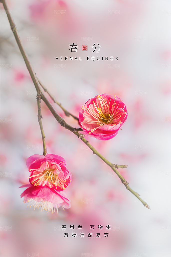 简约大气春分节气宣传海报