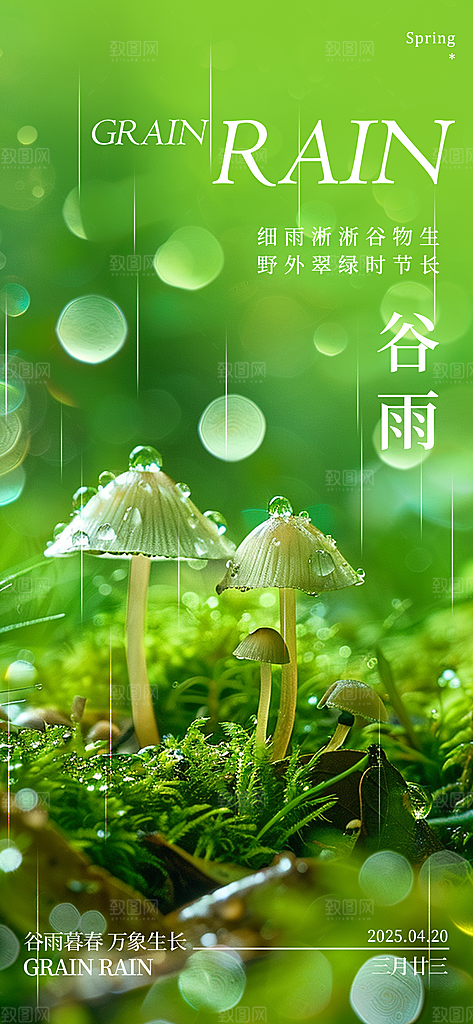 二十四节气谷雨海报