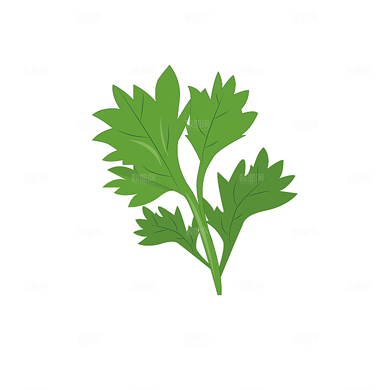 简约大气卡通手绘端午节PNG元素