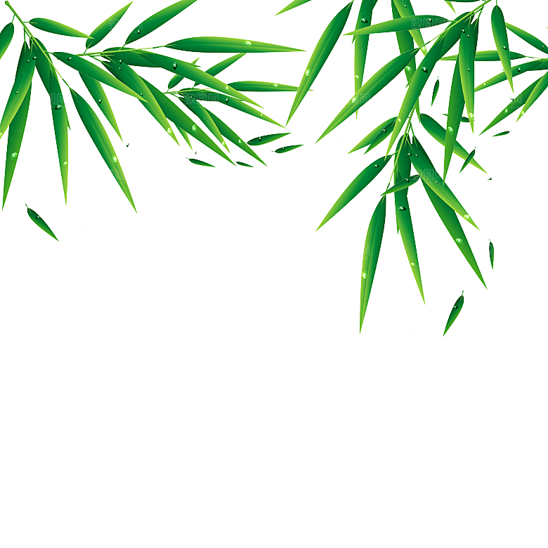 简约大气卡通手绘端午节PNG元素