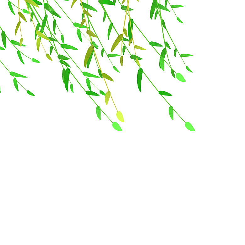 简约大气卡通手绘端午节PNG元素