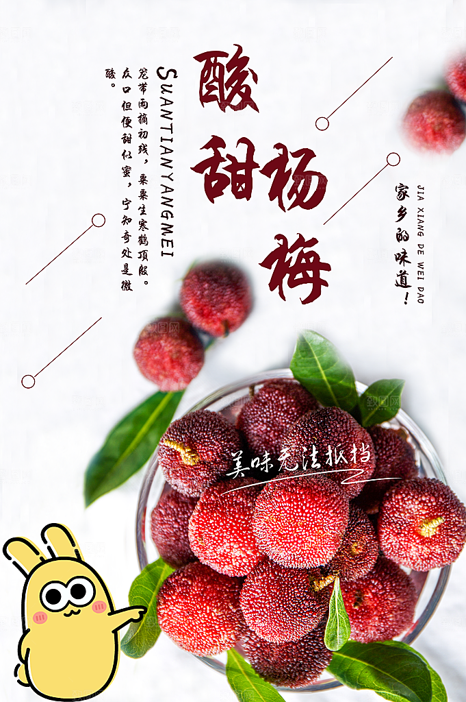 杨梅熟了酸甜生鲜夏季水果店超市海报