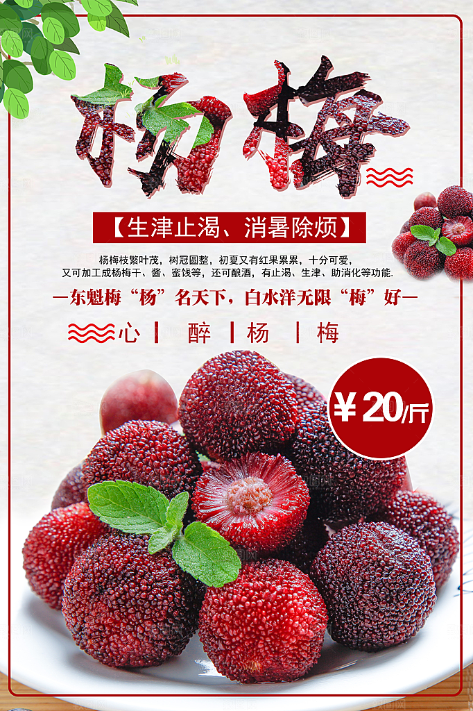 杨梅熟了酸甜生鲜夏季水果店超市海报