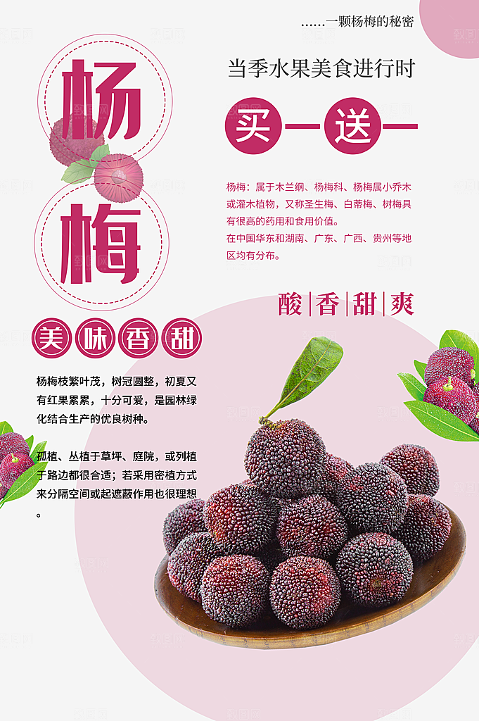 杨梅熟了酸甜生鲜夏季水果店超市海报