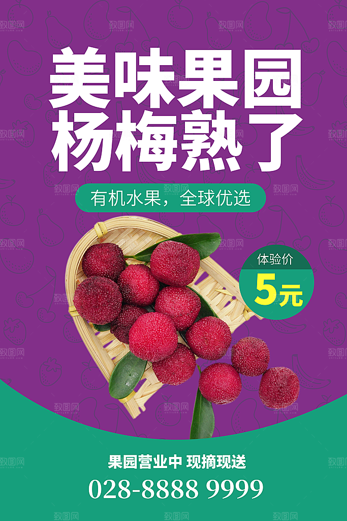 杨梅熟了酸甜生鲜夏季水果店超市海报