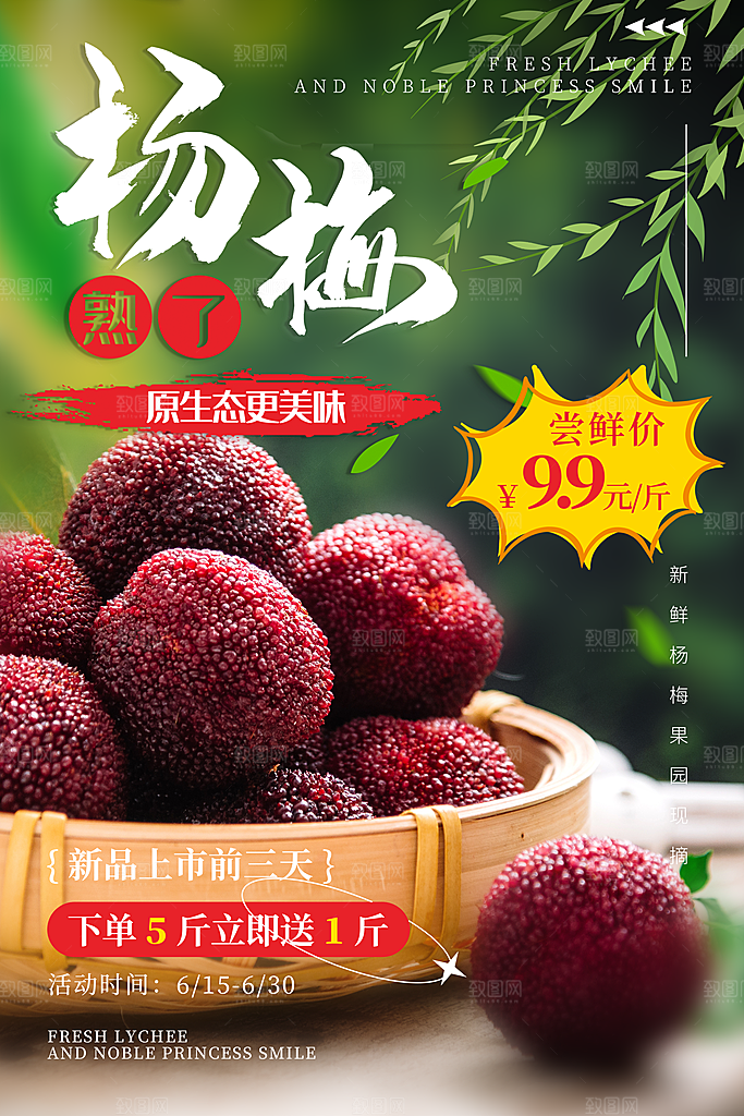 杨梅熟了酸甜生鲜夏季水果店超市海报