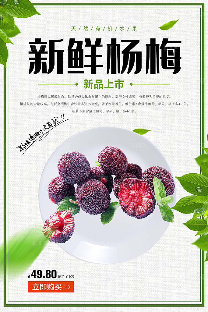 杨梅熟了酸甜生鲜夏季水果店超市海报