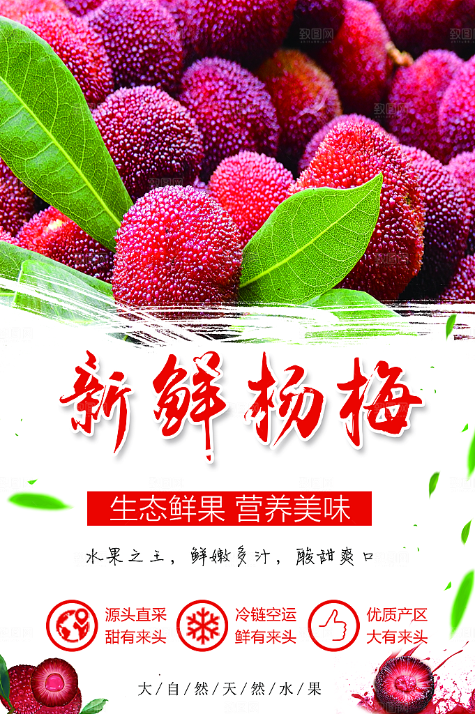 杨梅熟了酸甜生鲜夏季水果店超市海报