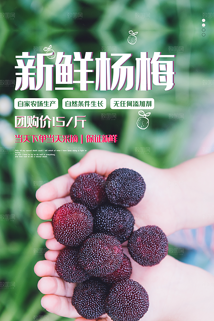 杨梅熟了酸甜生鲜夏季水果店超市海报
