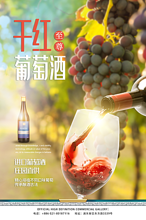 葡萄酒红酒酒吧干红酒会洋酒海报