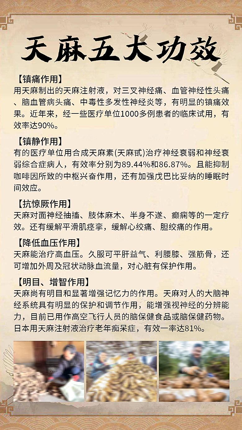 天麻五大功效海报