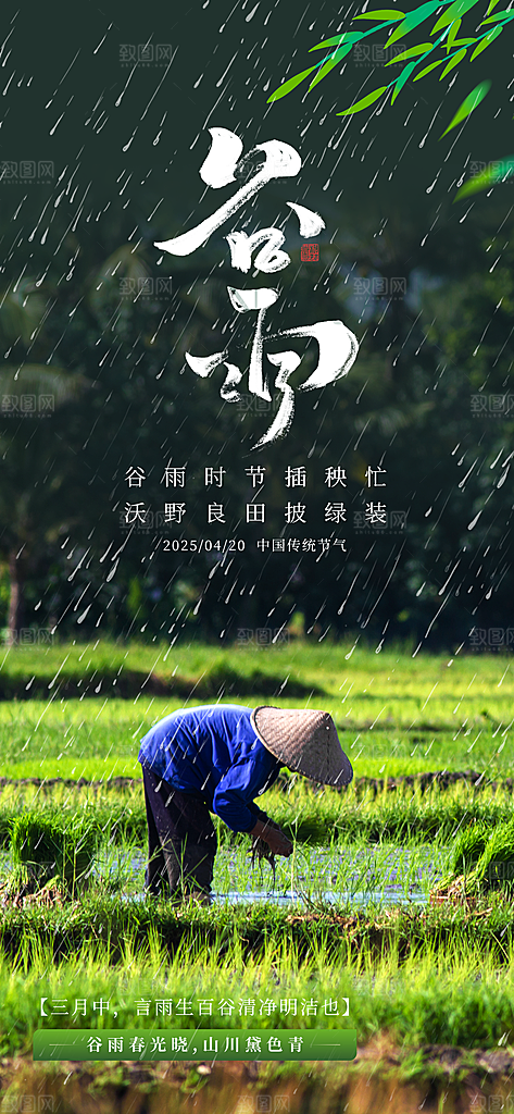 谷雨节气宣传海报设计