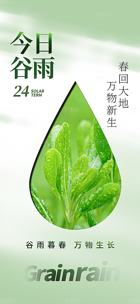 谷雨节气宣传海报设计素材