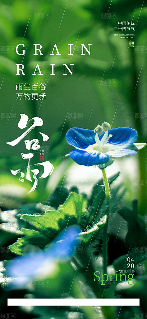 谷雨节气宣传海报设计