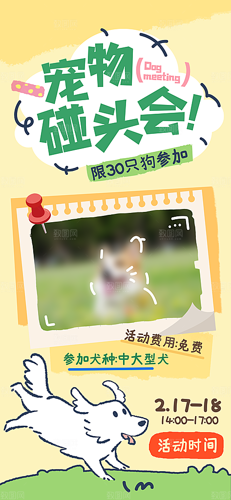 宠物活动宣传海报设计