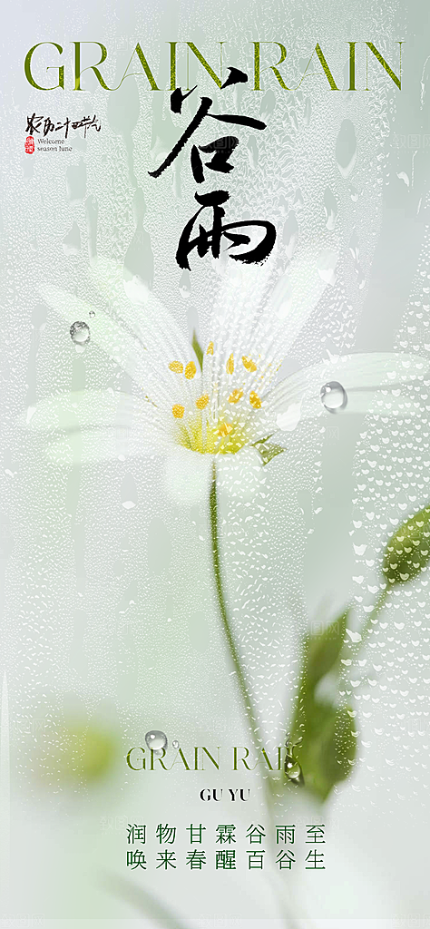 谷雨节气节日海报