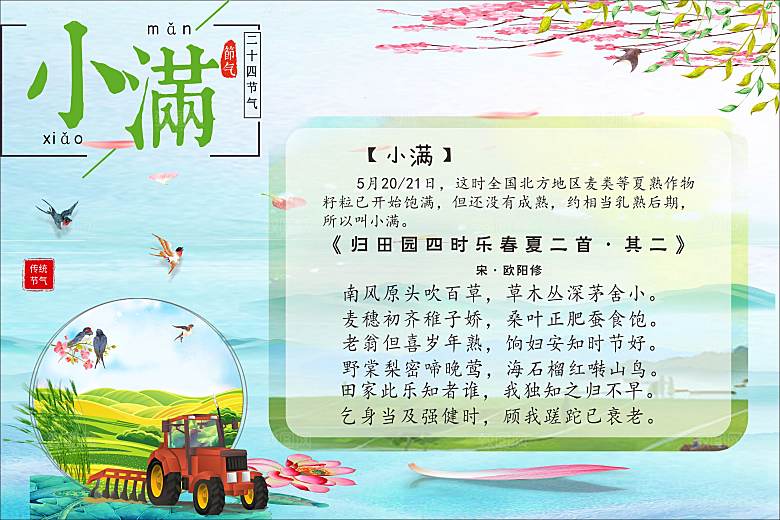 二十四节气现代清新风格海报小满