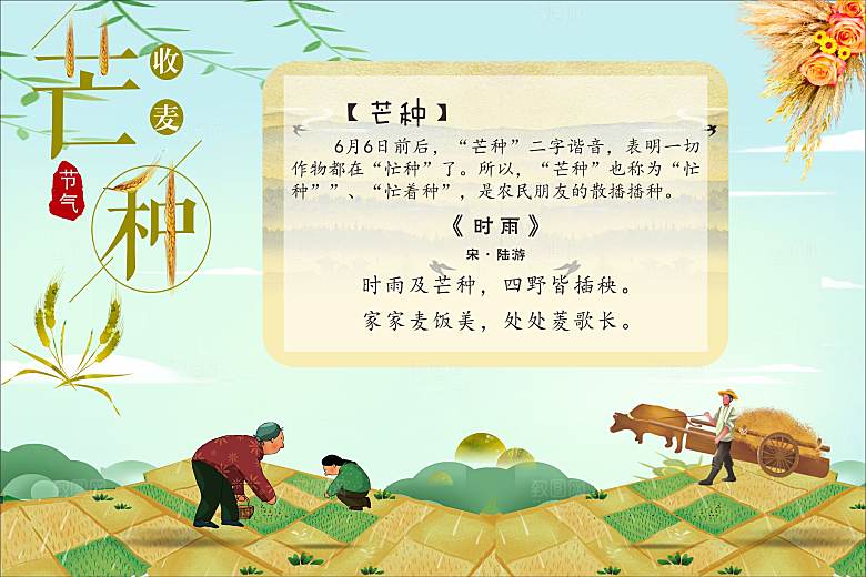 二十四节气现代清新风格海报芒种