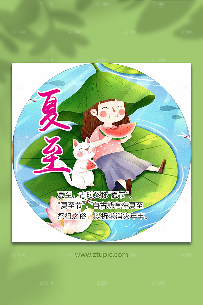 二十四节气小标签徽章夏至