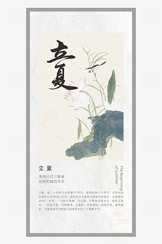 中国风二十四节气排版设计立夏