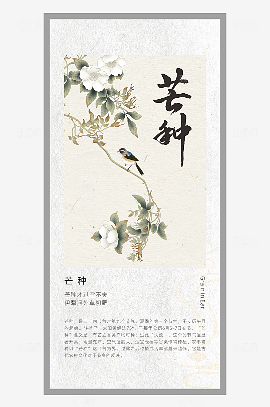 中国风二十四节气排版设计芒种