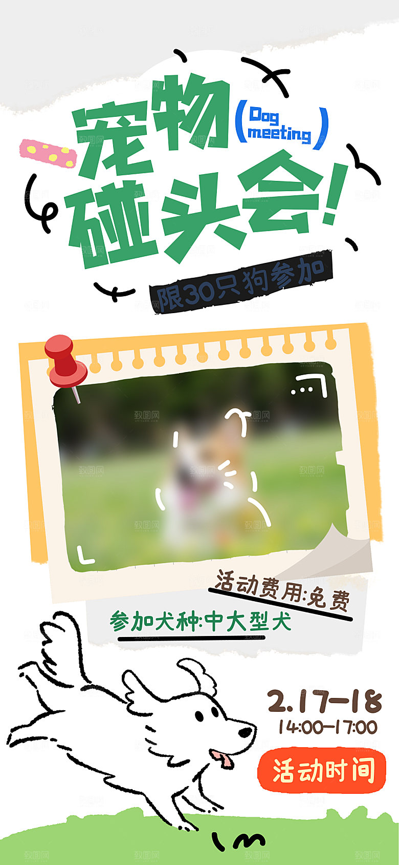 卡通宠物萌宠活动宣传海报
