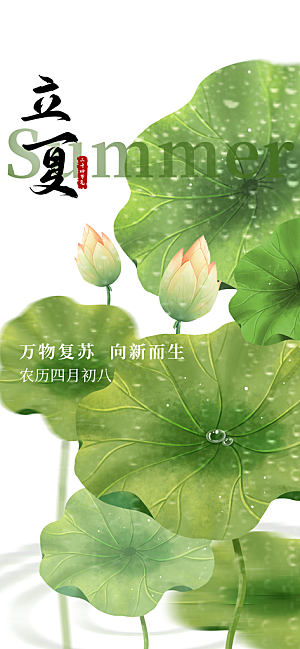 立夏时节五月夏天夏季24节气夏日海报