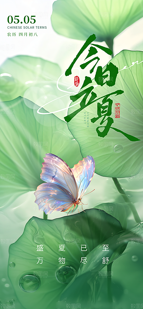 立夏时节五月夏天夏季24节气夏日海报