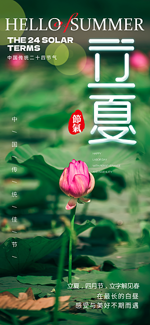 立夏二十四节气海报