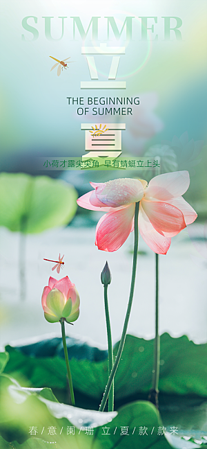 立夏二十四节气海报