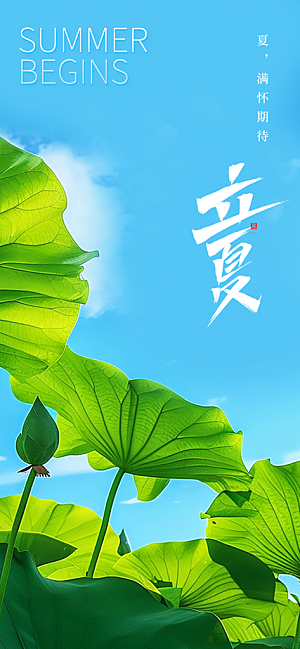 二十四节气立夏海报