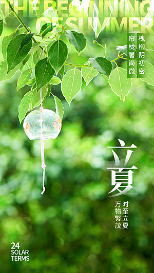 二十四节气立夏海报